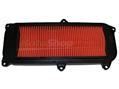 Air Filter XCiting - Dink/Grand Dink 125/200/250/300
