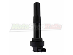 Ignition Coil BMW S 1000 R/RR/XR - HP4 (<2020)