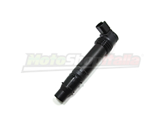 Ignition Coil ZX6R (2009>) - ZX-6R 636 (2013-2017)