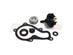 Water Pump Revision Kit Piaggio Beverly - X10 350