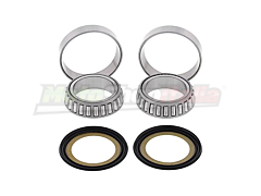 Steering Bearings and Seals Kit SH Forza Silverwing SW-T