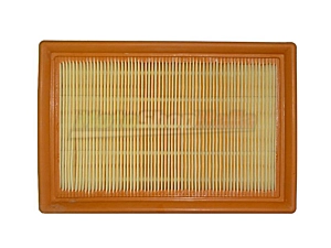 Air Filter Caponord 1000