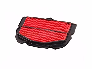 Air Filter R1 (2009 to 2014)