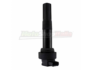 Ignition Coil BMW G 310 - S 1000 RR - HP4