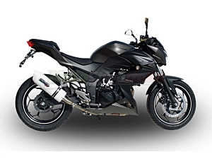 Exhaust Silencer Z 300 GPR Approved