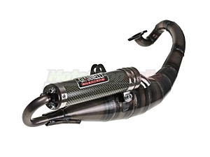 Exhaust SR - Rally - Neo's - Jog 50 Giannelli Reverse Approved