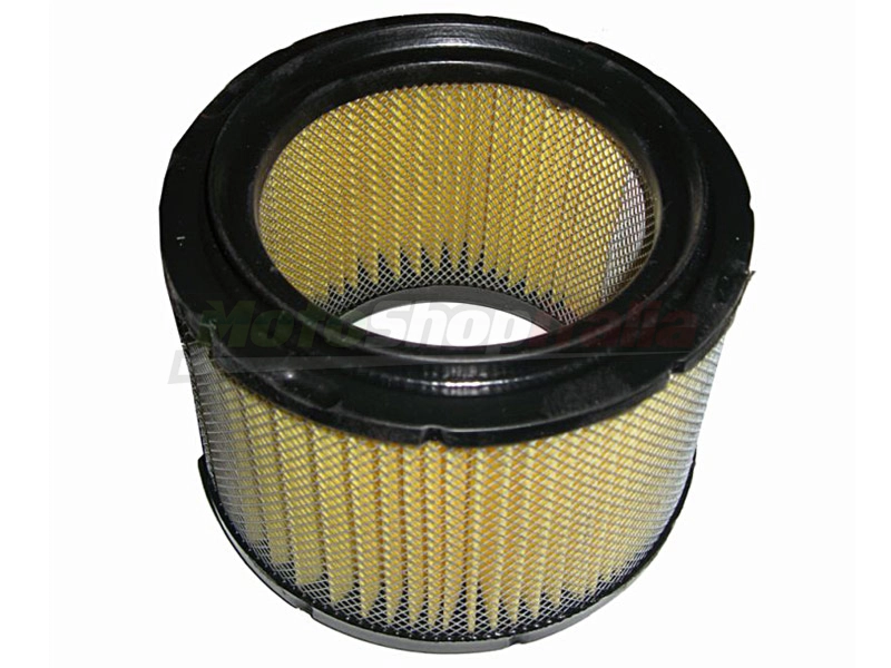 Filtro Aria Pegaso 650