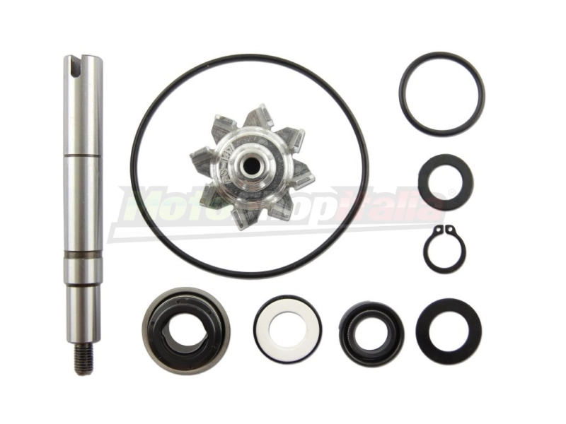 Kit Revisione Pompa Acqua Kymco X-Citing 500