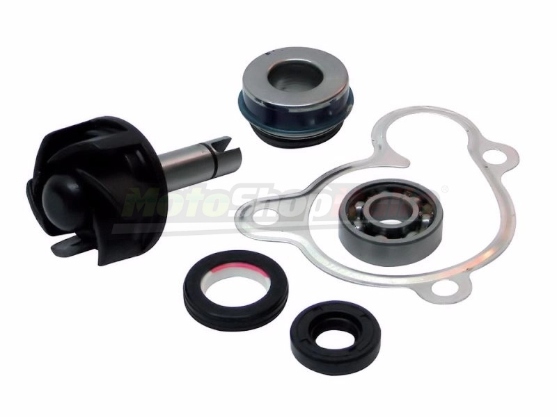 Kit Revisione Pompa Acqua Yamaha Majesty Xmax Xcity 250 - Versity 300