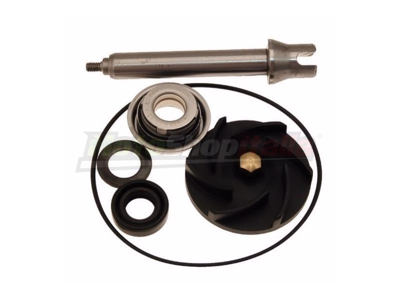 Revision Kit Water Pump Aprilia/Piaggio/Gilera 400/500 (from 2004)