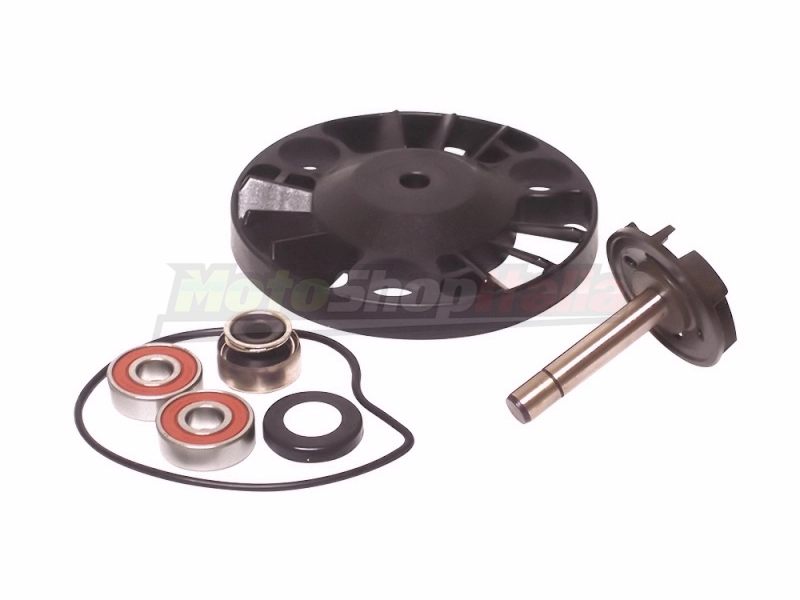 Revision Kit Water Pump Beverly Piaggio X9 X8 Vespa 125/180/200