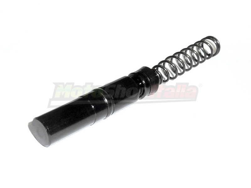 Kit Revisione Pompa Freno Piaggio Free 50/100 Anteriore