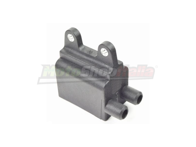 Bobina Accensione Triumph 750/790/865/900/1000/1200