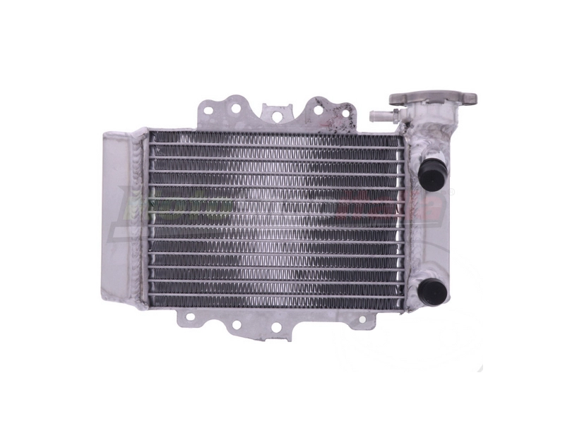 Radiatore Honda SH PS 125/150 (2005-2012)