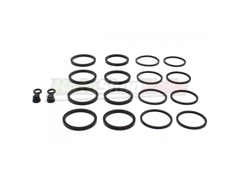 Kit Revisione Pinze Freno Versys 1000 - VN 1700 Anteriori