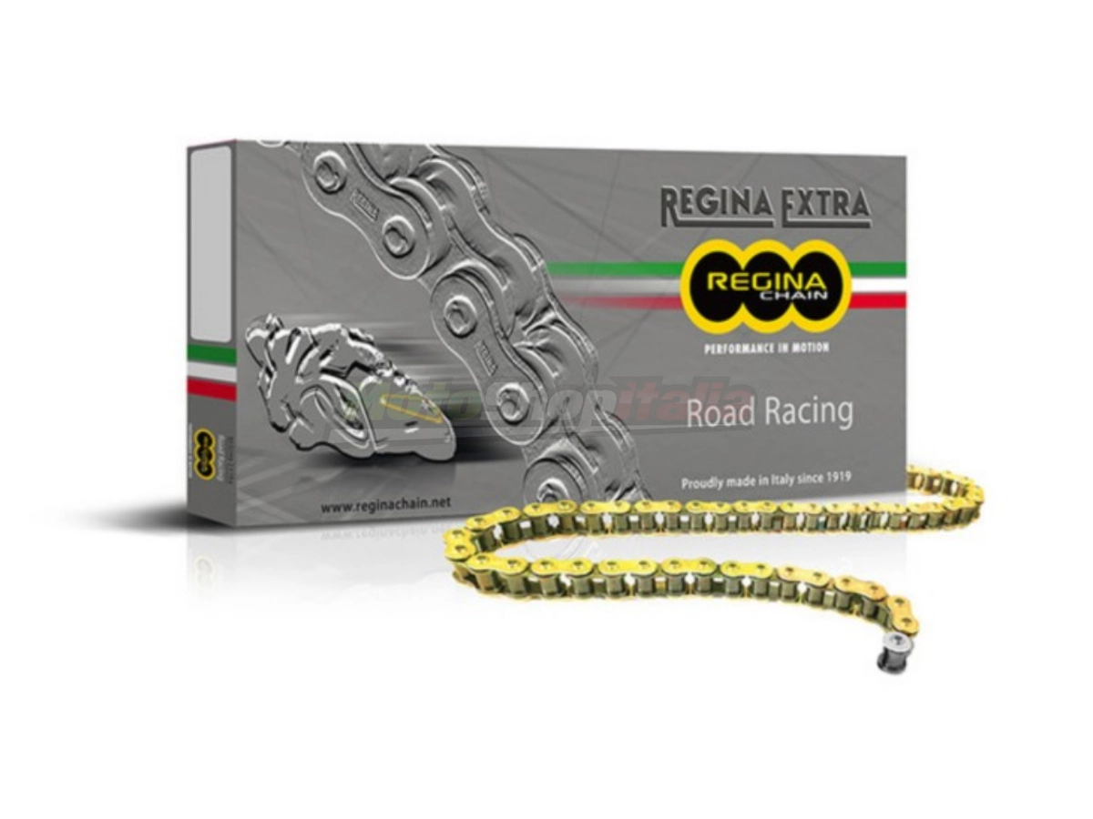 Regina GP4 415 Racing Chain High Performance
