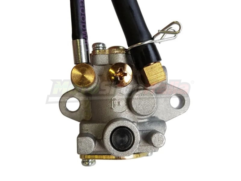 Pompa Olio Miscelatore Motori Minarelli AM6 - Mikuni