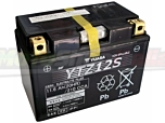 Yuasa Battery YTZ12S SilverWing Transalp VTR VFR (table)