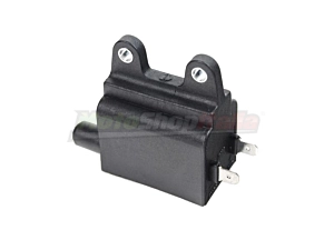 Bobina Accensione Triumph 885/900 a Carburatore