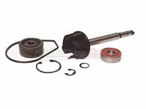 Kit Revisione Pompa Acqua Yamaha Majesty 400
