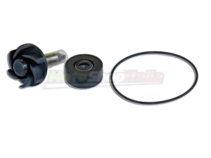 Kit Revisione Pompa Acqua Majesty Skyliner 125/150/180