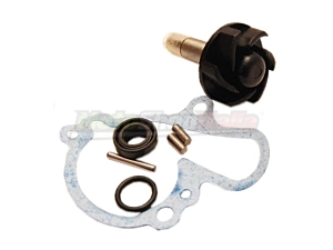 Revision Kit Water Pump Motors Minarelli AM6 AM345