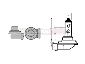 Lampadina H11 Alogena 55 Watt
