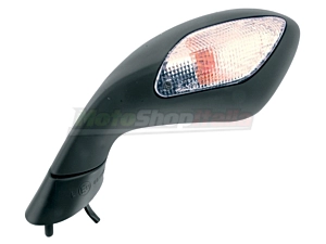 Mirror RSV 1000 R Approved