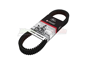 Cinghia Trasmissione T-Max 500 (dal 2004)