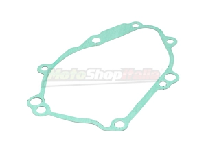 Guarnizione Coperchio Alternatore FZ1 - FZ8 - R1