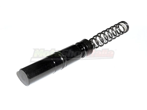 Kit Revisione Pompa Freno Piaggio Free 50/100 Anteriore
