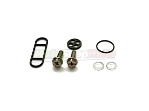 Kit Revisione Rubinetto Benzina Kawasaki KLR KLX 600/650