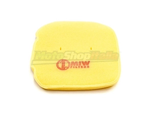 Air Filter BMW G 450 X