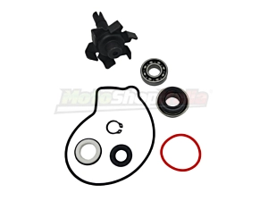 Kit Revisione Pompa Acqua XJ6 R6 FZ6