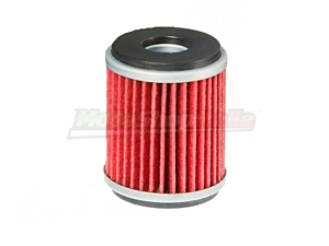 Filtro Olio HM Beta Fantic Gas Gas TM HifloFiltro HF141
