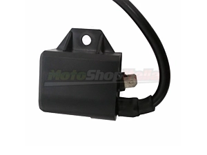 ECU - Coil Motors Franco Morini 50 2T Benelli Derbi Italjet Suzuki