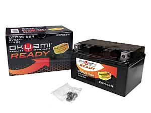 Batteria YTZ10S-BS CBR 600 900 1000 RR Hornet CB CBF (Okyami)